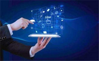 京師長(zhǎng)圓加盟指南 費(fèi)用、條件與官方招商渠道詳解