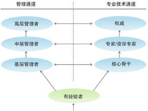 東莞市優點網絡科技 以員工發展驅動網絡技術開發創新
